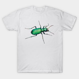 Six-spotted Tiger Beetle T-Shirt